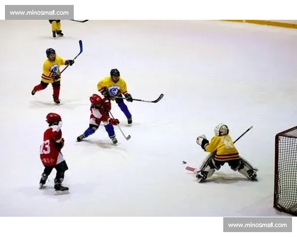 冰球赛季正式启航，赛程公布引爆观赛热潮！