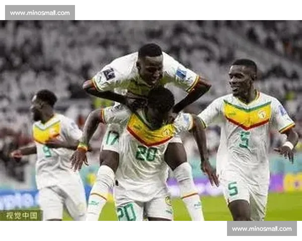 伤病阴影笼罩,非洲杯赛场上的坚韧与不屈 伤病阴影笼罩,非洲杯赛场上的坚韧与不屈