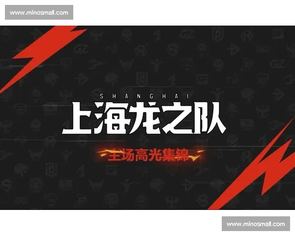 守望先锋:上海龙之队势不可挡,休斯顿野兽能否阻击 守望先锋:上海龙之队势不可挡,休斯顿野兽能否阻击